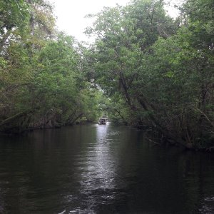 cruising the cut