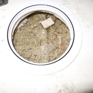 Close Up floating chip in hole