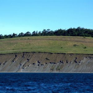 Southern shores of San Juan Island near Cattle Point