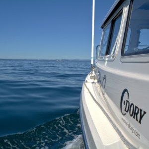 Still slow cruising. This has become my favorite way to cruise.