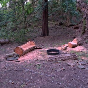 Campfire bench cut from a log