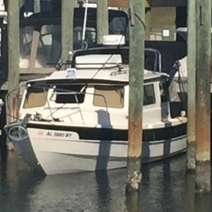 c-dory1