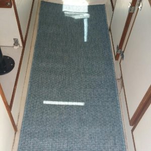 Media 'C dory carpet' in album 'Lil Bebop'