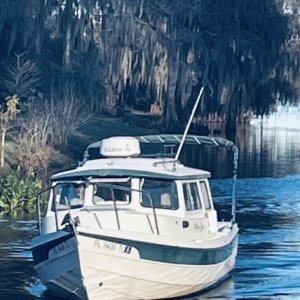 Piper Jane in Florida