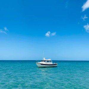 Media 'Venice Florida' in album 'Whittier'