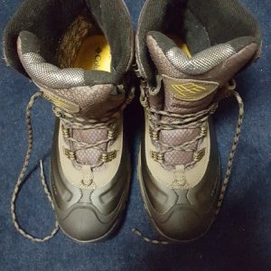 Media 'Tired of cold feet! On sale at West Marine for $89!' in album 'First time Glo saw C-GLORY'