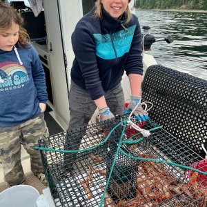Media 'Hood Canal Spot Shrimp' in album 'San Juan Pinks'