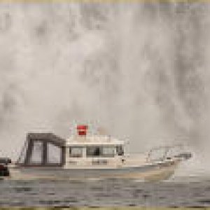 Media 'Knoch Falls, BC' in album 'Knoch Falls, BC'