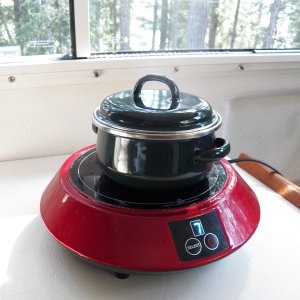 This is a $45 induction cooker connected to a 1000W pure sine wave inverter.  The lowest setting is a nice simmer and the highest setting could fry (which I never do).  It doesn't trip the inverter.  It seems to be about a quick as a microwave and no open flame.