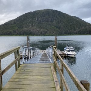Forest service dock bears & whales near