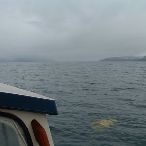 (AK Angler) Drift anchor deployed
