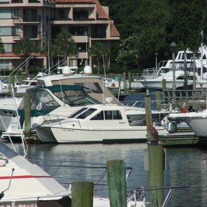 (Byrdman) Shelter Cove, Hilton Head, SC