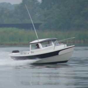 C-Trial Zoom