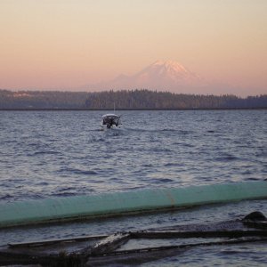 Going to scout for Sockeye in S. Lake Washington
