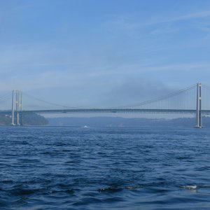 Tacoma Narrows