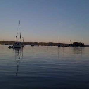 Deer Harbor 1