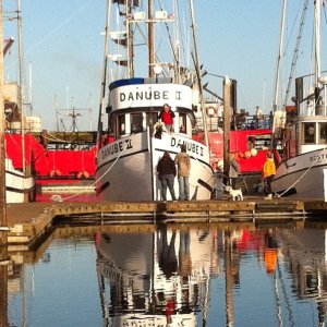 Westport Dock 5