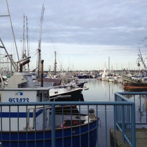 Fisherman Terminal