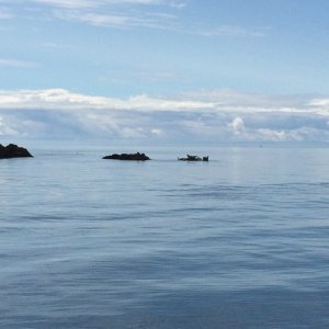 Allan Island