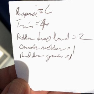 my best Raymarine settings for AP