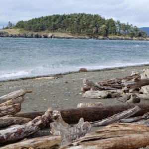 West Beach