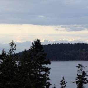 Allen isl