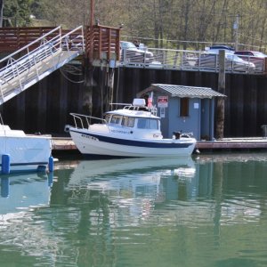 Cornet Bay