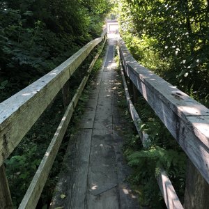 Winter Harbor boardwalk