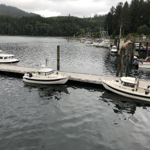 Our fleet in Winter Harbor 2019