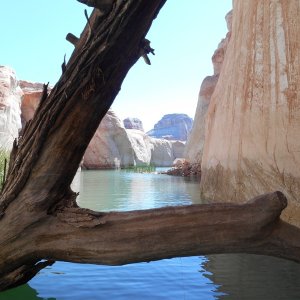 I named this place "Many Fish Canyon".