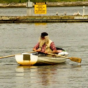 16 Friendly Fellow in bay
