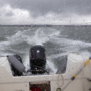 Rainy but not too rough