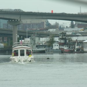 Scenic Everett
