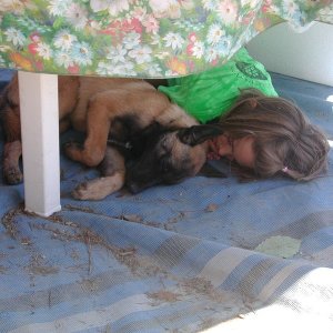 Zoe and Grace(OTTER) crash under the table!