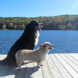 Waiting for the boat!
