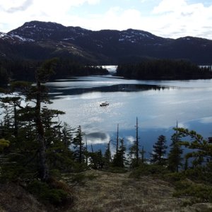 Disc Cove