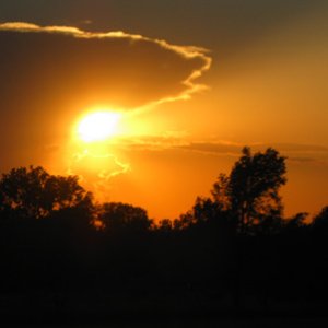 Media 'Sunset in Kansas' in album 'Crested Saguaro'