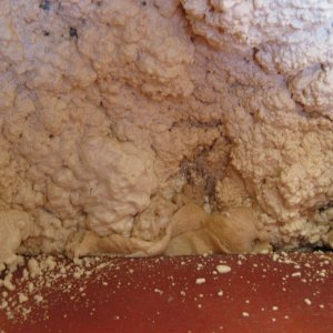 Form in V-Berth