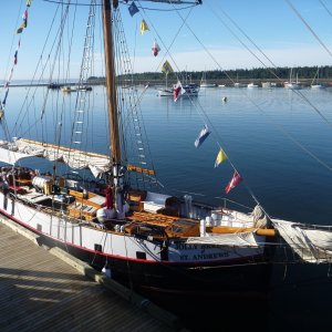 A sail boat whale watching boat. This would have been my choice if I were going looking for whales. Captain's name was Jim