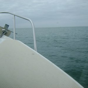 C-Dorys love following seas