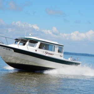 SKIMMER is skimming in the James
