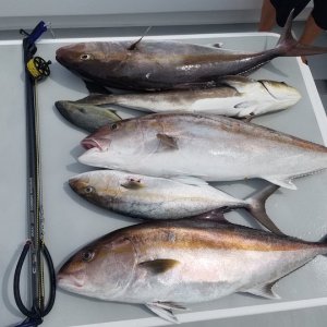 wasn't off the c dory but 200lbs of fish off my buddies Radon was our best trip by weight.