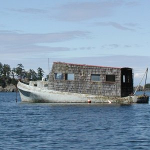 This Cement Hull keeps on floating, year after year in Winter Cove, BC