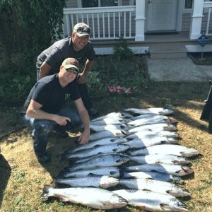 Media 'Atlantic Salmon 2' in album 'Atlantic Salmon 1'