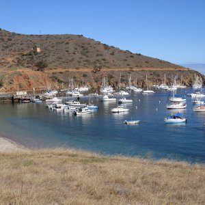 Media 'C-Dories at Two Harbors - 7 boats attended' in album 'C-View II at Two Harbors'