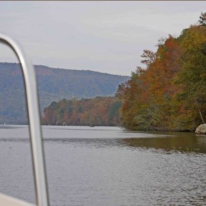 Media 'Cruising the gorge' in album 'Tennessee River Gorge'