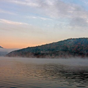Early Morning Mist
