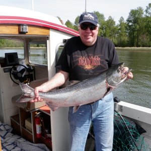 Columbia River Spring Chinook