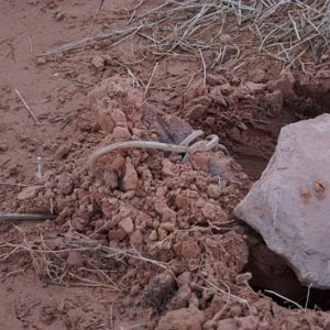 Anchor alternatives--bury a rock
