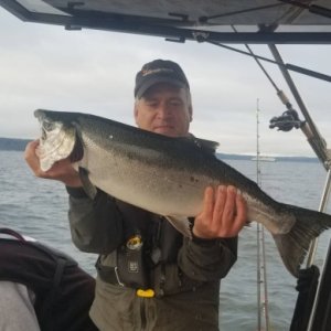 Media 'Dwight (Chromer) 2018 Edmonds Coho Derby 4th place winner -  12 lbs undressed' in album 'Dwight (Chromer) 2018 Edmonds Coho Derby 4th place winner -  12 lbs undressed'